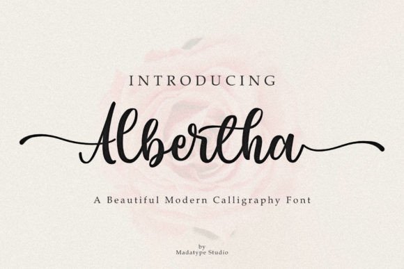 Albertha: A Modern Calligraphy Font for Elegant Branding and Campaign Design