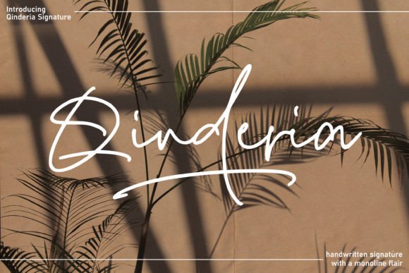 Qinderia Signature: A Sweet Handwritten Font for Modern Branding Projects